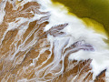 Print-Subject-Colin-White-Transformation-Gold.jpg