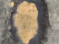 Projected-Colour-Leah-Squire-Pothole-Bronze