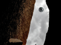 Projected-Colour-Mark-Greenland-First-Encounter-Gold