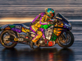 Projected-Colour-Michael-Groves-Chameleon-Gold