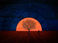 Projected-Colour-Olivia-Vincent-Time-Eternal-Gold