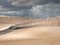 Projected-Subject-Anne-Mead-In-The-Dunes-Silver