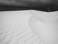 Projected-Subject-Gregory-Mccluney-Lancelin-Sand-Dunes-Bronze