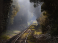Projected-Subject-Ron-Jackson-Old-Railway-Tracks-Bronze
