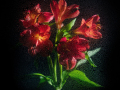 Projected-Colour-Bronze-Deirdre-Stack-Floral-Mist