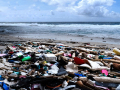 Projected-Colour-Bronze-Suzanne-Lowe-Plastic-In-Paradise-Paradise