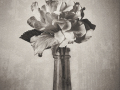 Projected-Mono-Bronze-Kate-Bilton-Floral-Beauty