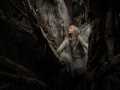 Projected-Subject-Bronze-Deirdre-Stack-Woodland-Wonderland