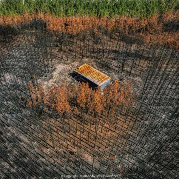 Projected-Colour-Bronze-Ray-Meckenstock-Scorched