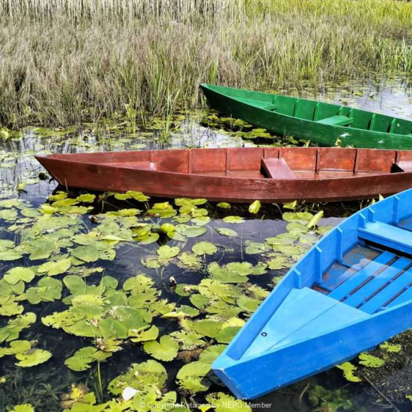 Projected-Colour-Silver-Iva-Stejskal-Boats-On-Lake-Plav