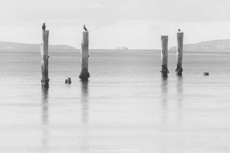 Projected-Mono-Bronze-Richard-Eaton-Jetty-Remnants