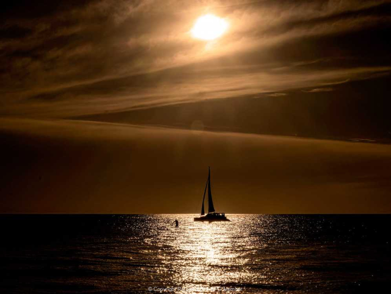 Projected-Mono-Bronze-Tania-Daniels-Firey-Sky