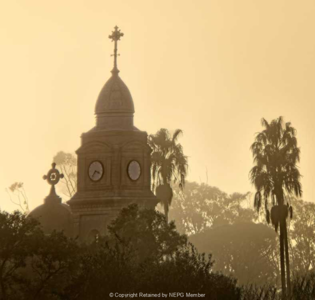 Projected-Mono-Silver-Rosemary-Edwards-Mist-Is-All-Around