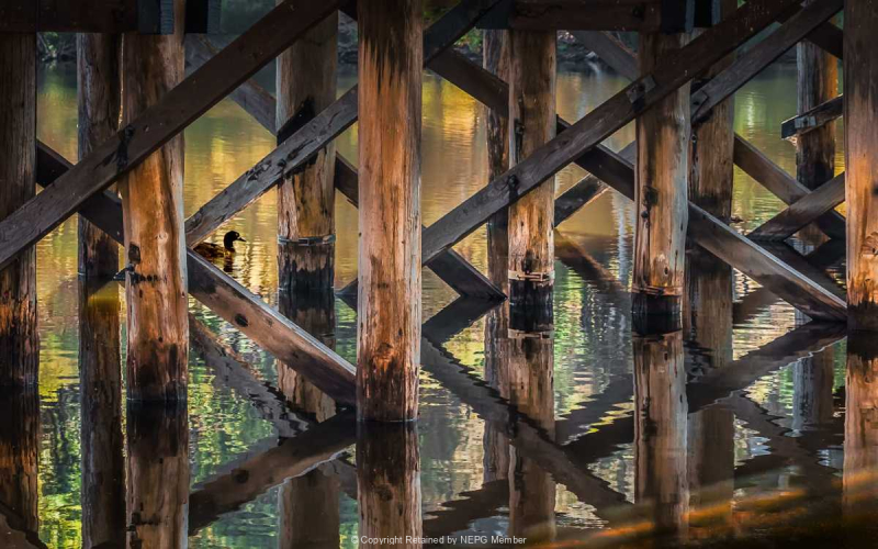 Projected-Subject-Bronze-Rita-Atkinson-Under-The-Bridge