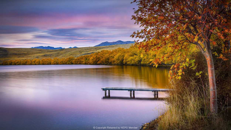 Projected-Subject-Silver-Maryjo-Gomez-Jackson-Whispers-Of-Autumn