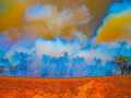 Projected-Colour-Bronze-Werner-Tubbe-Darwin-Bushfire Projected-Colour-Bronze-Werner-Tubbe-Darwin-Bushfire