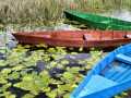 Projected-Colour-Silver-Iva-Stejskal-Boats-On-Lake-Plav Projected-Colour-Silver-Iva-Stejskal-Boats-On-Lake-Plav