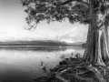 Projected-Mono-Bronze-Michelle-De-Swardt-Te-Anau-Riverfront Projected-Mono-Bronze-Michelle-De-Swardt-Te-Anau-Riverfront