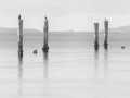 Projected-Mono-Bronze-Richard-Eaton-Jetty-Remnants Projected-Mono-Bronze-Richard-Eaton-Jetty-Remnants