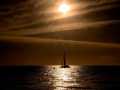 Projected-Mono-Bronze-Tania-Daniels-Firey-Sky Projected-Mono-Bronze-Tania-Daniels-Firey-Sky