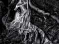 Projected-Mono-Silver-Mark-Greenland-Fall-To-Grace Projected-Mono-Silver-Mark-Greenland-Fall-To-Grace