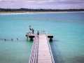 Projected-Subject-Bronze-Angela-Bushby-Playtime-On-The-Jetty Projected-Subject-Bronze-Angela-Bushby-Playtime-On-The-Jetty