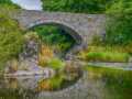 Projected-Subject-Bronze-Richard-Eaton-Cenarth-Bridge Projected-Subject-Bronze-Richard-Eaton-Cenarth-Bridge