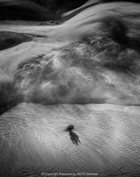 Projected-Mono-Resilience-Adrian-Hall-Silver