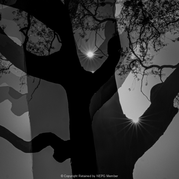 Projected-Mono-Three-Suns-Peter-Baughan-Silver