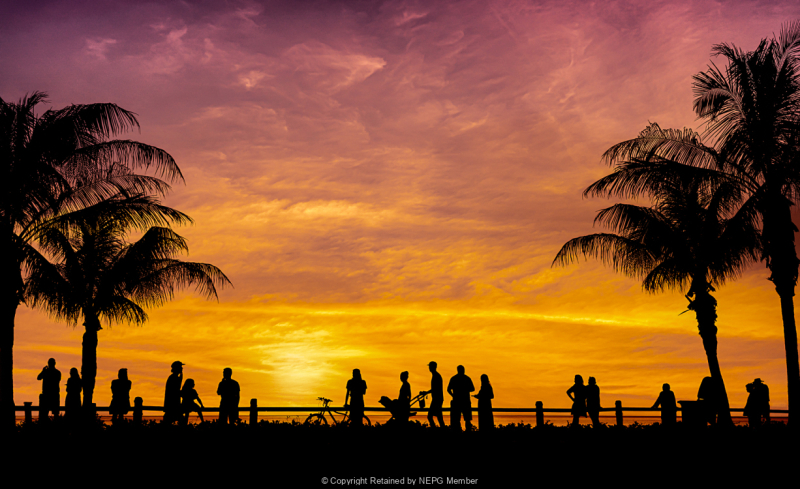 Projected-Subject-The-Sun-Worshippers-Rita-Atkinson-Silver