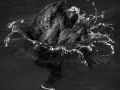 Projected-Mono-The-Deep-Dive-Jacki-Hollick-Silver