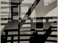 Projected-Subject-Crane-Lynda-Dilena-Bronze