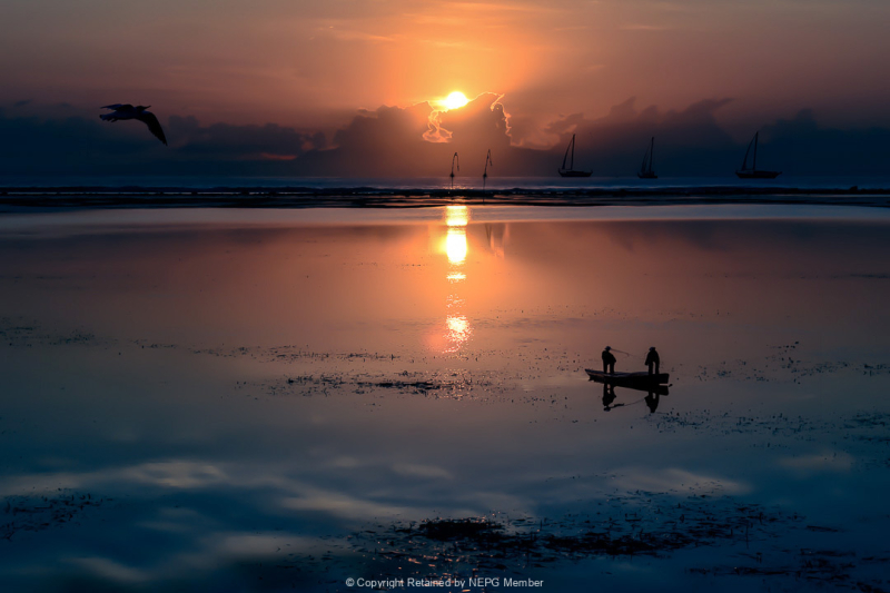 Projected-Colour-Fishing-in-Bali-Max-Wannell-Bronze