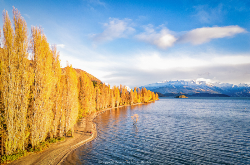 Projected-Colour-Wanaka-From-On-High-Michelle-de-Swardt-Silver