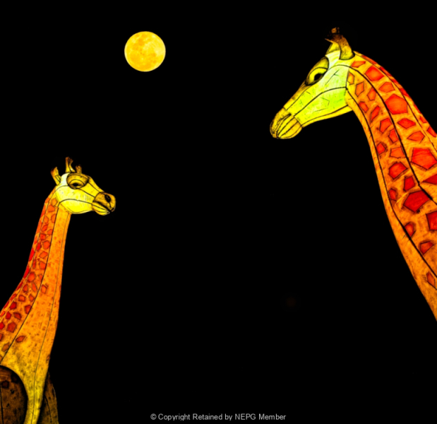 Projected-Subject-Moon-Struck-Rosemary-Edwards-Silver