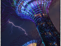 Project-Subject-Gordon-McDade-Silver-Supertree-Grove Project-Subject-Gordon-McDade-Silver-Supertree-Grove