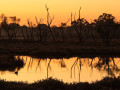 Projected-Colour-Morning-Dip-Greg-Edwards-Bronze Projected-Colour-Morning-Dip-Greg-Edwards-Bronze