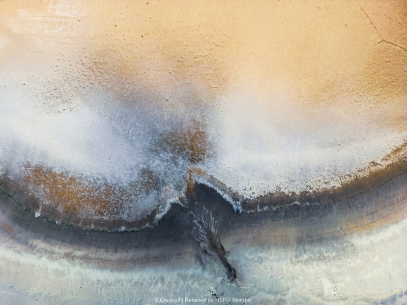 Open-Colour-Digital-Bronze-Michelle-DeSwardt-Edge-of-Existence