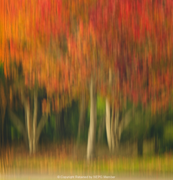 Open-Colour-Digital-Bronze-Rosemary-Edwards-Golden-Autumn