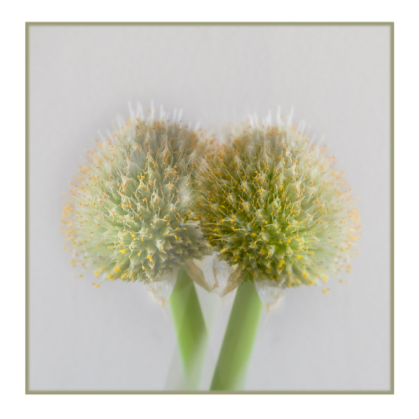 Open-Colour-Digital-Silver-Margrit-Wendt-Unexpected-Beauty