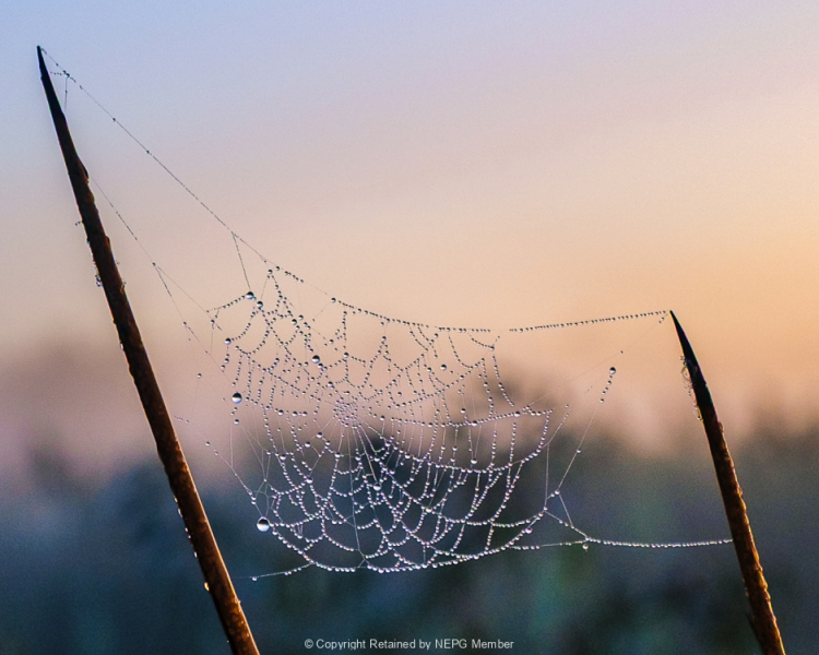 Open-Colour-Digital-Silver-Richard-Eaton-Baubles-at-Dawn