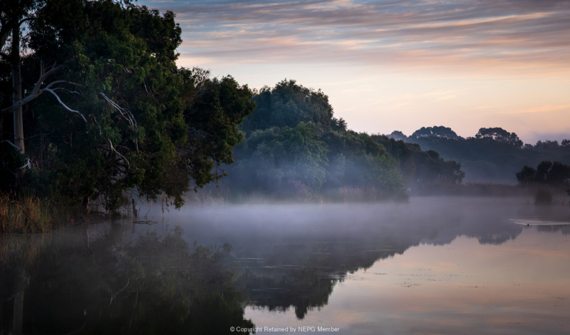 Set-Digital-Silver-Kate-Bilton-A-Misty-Morning