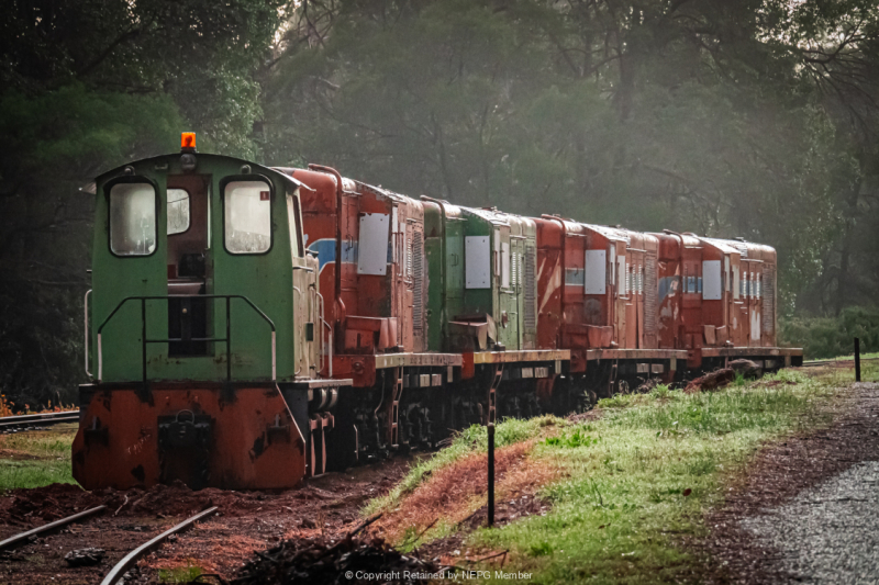 Projected-Colour-Bronze-Dennis-Hines-Last-Train-In-The-Morning-Mist