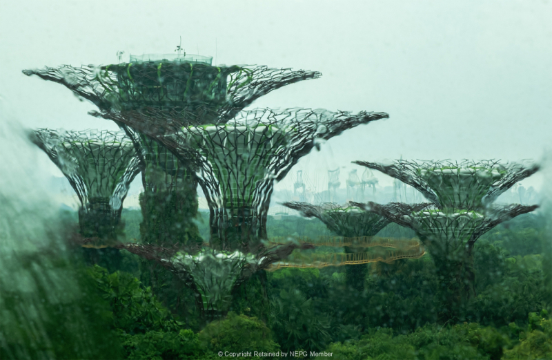 Projected-Colour-Silver-Kate-Bilton-Rain-In-Singapore
