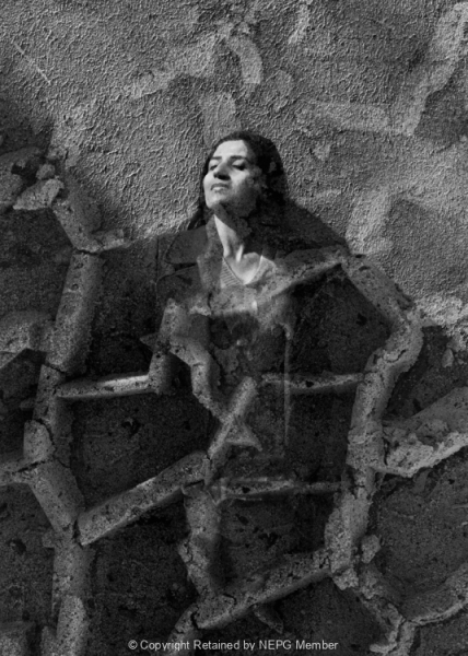 Projected-Subject-Bronze-Anne-Mead-Emerging