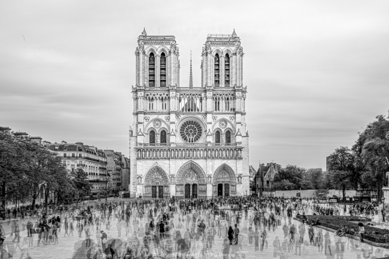 Projected-Subject-Gold-Colin-White-Notre-Dame-Renewal
