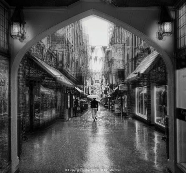 Projected-Subject-Gold-Eva-Bellaire-Through-The-Rain