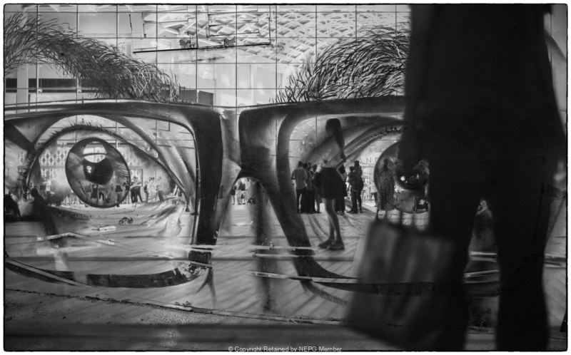 Projected-Subject-Silver-Gordon-Mcdade-Seeing-Double-At-The-Shopping-Mall