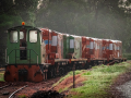 Projected-Colour-Bronze-Dennis-Hines-Last-Train-In-The-Morning-Mist