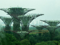 Projected-Colour-Silver-Kate-Bilton-Rain-In-Singapore
